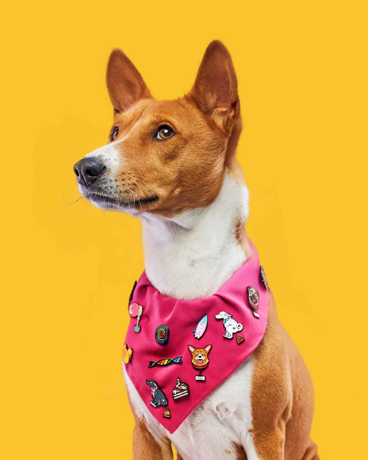 QUEER FINGERPRINT PIN